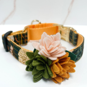 Agave Succulent Dog Collar Flower (Made in the USA)