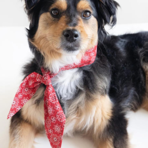 Classic Red Necktie for Dogs (Made in the USA)