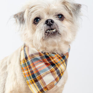 Cornucopia Flannel Fall Dog Bandana (Made in the USA)