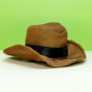 Cowboy Dog Hat Toy