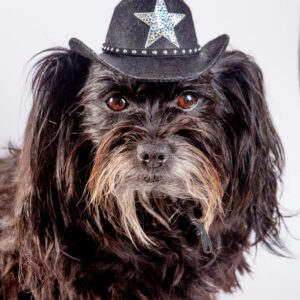 Cowboy Hat for Dogs in Black or Pink