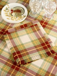 Mountain Weavers Hartland Plaid Weave Cotton Napkin, Set of 2