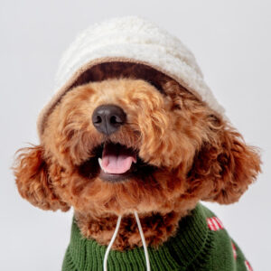 Sherpa Bucket Hat for Dogs