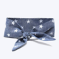 Stargazing Pet Necktie